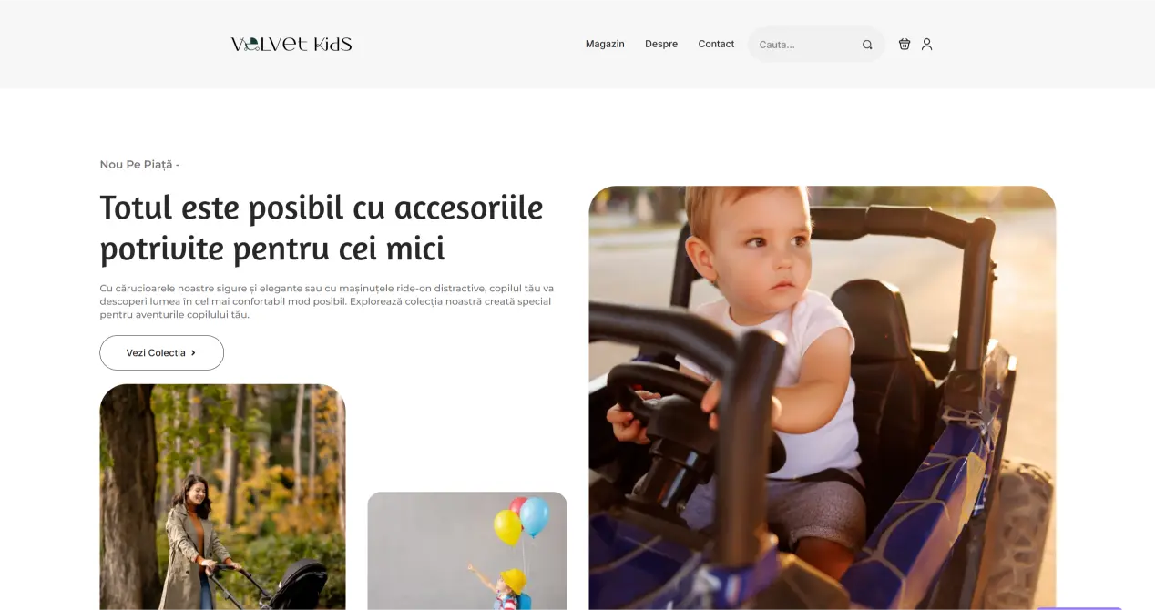Magazin online jucarii pentru copii